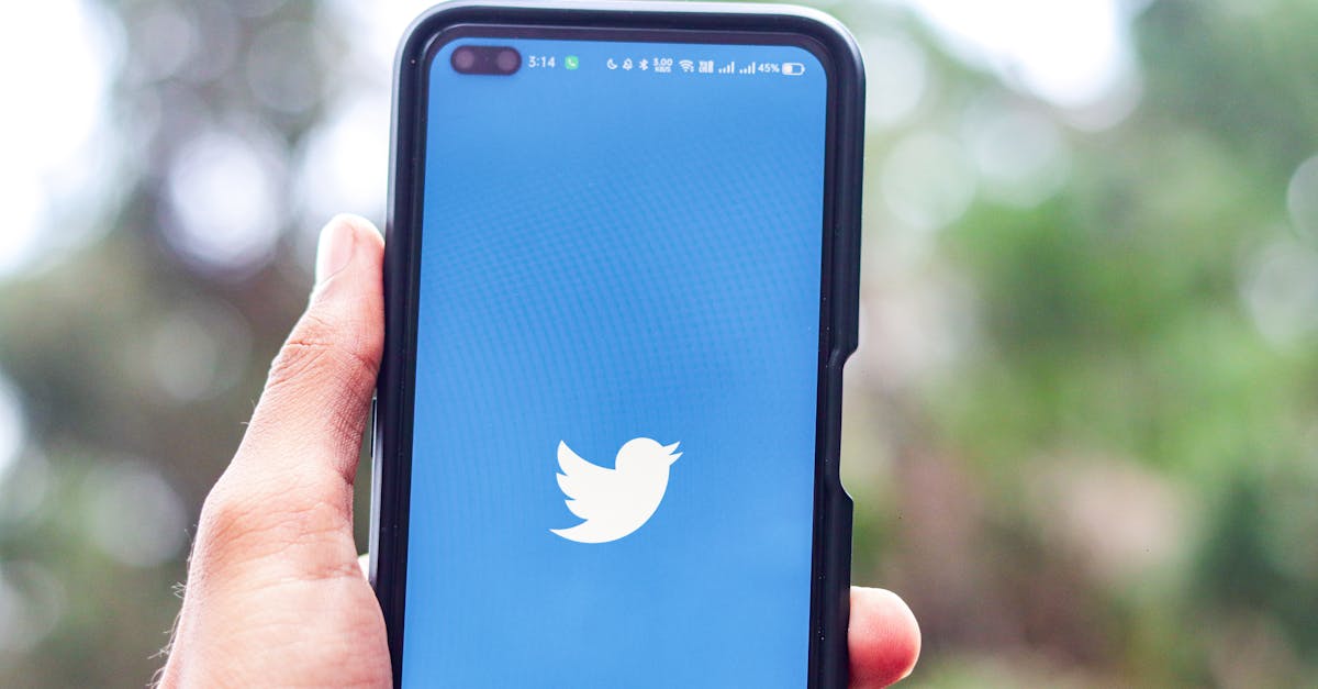 Usuário interagindo com ferramentas de marketing para redes sociais no computador