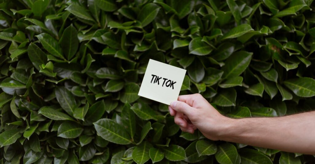 Pessoa analisando crescimento de seguidores reais no TikTok em celular