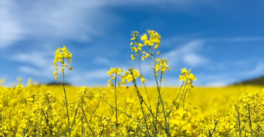 Pessoa analisando dados de crescimento no TikTok em um laptop