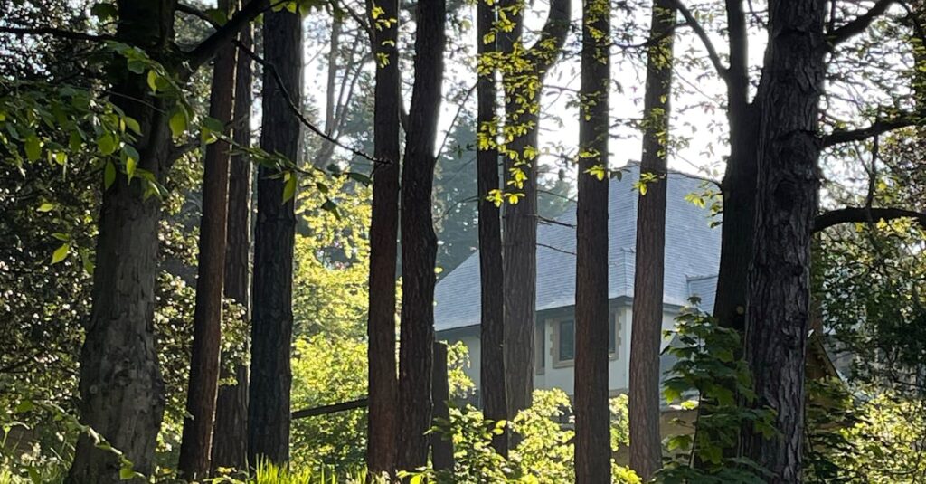 Pessoa analisando gráficos de crescimento do TikTok no computador