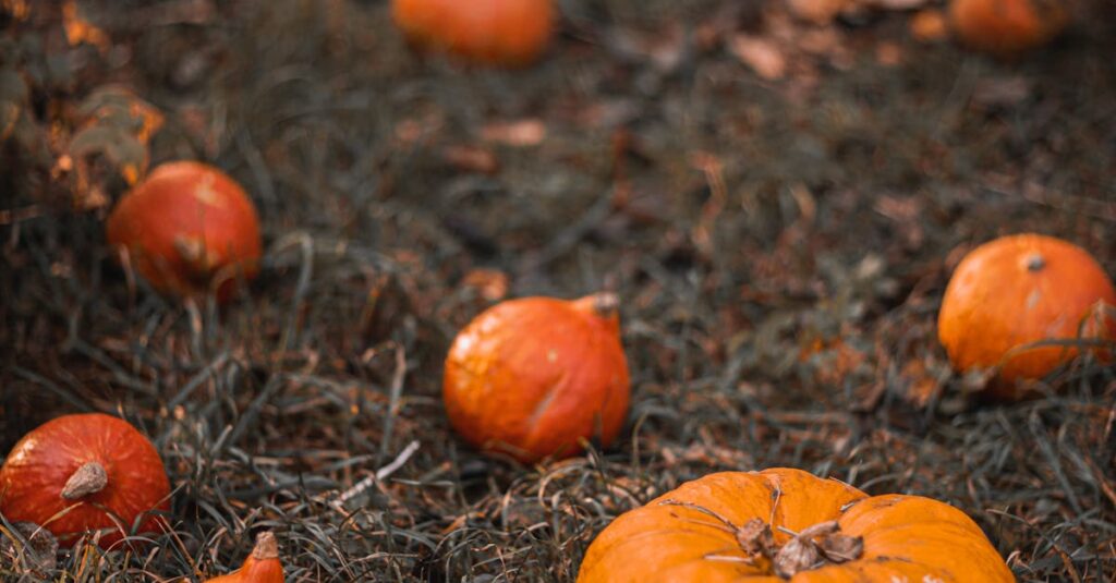 Pessoa olhando para celular com gráficos de crescimento em redes sociais