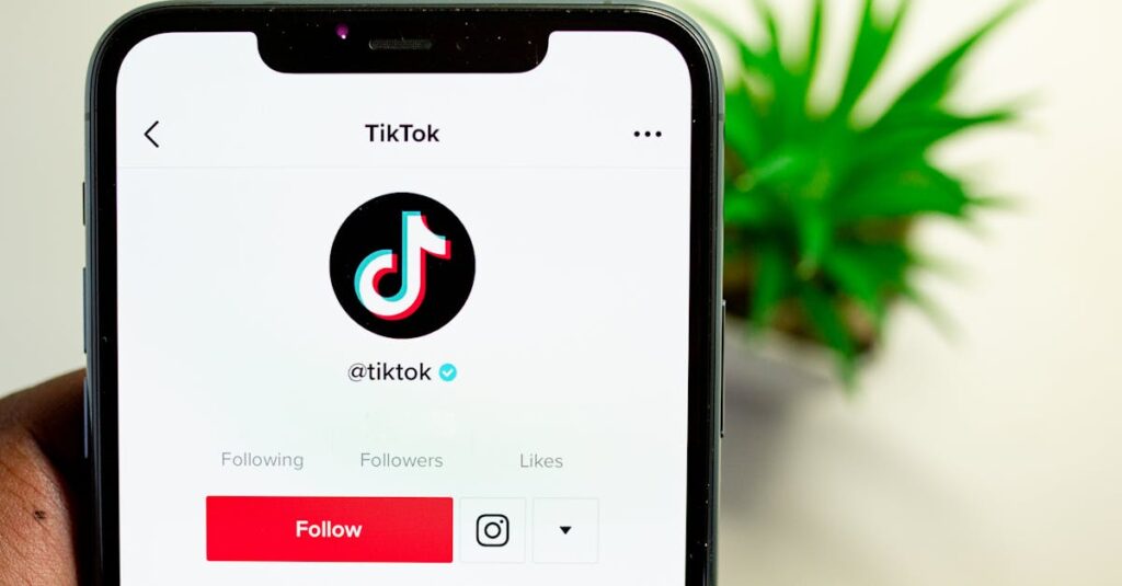 Tela de celular mostrando perfis falsos no TikTok